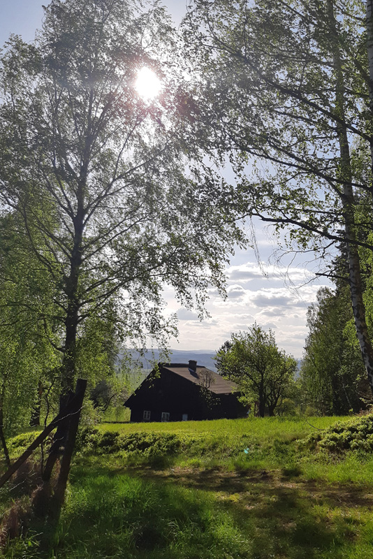 Leśne Domki, Czechy