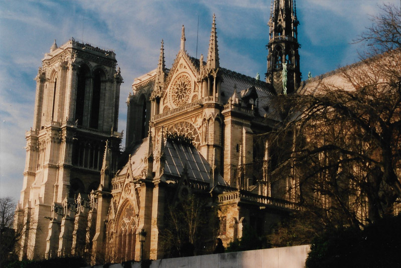 katedra Notre Dame