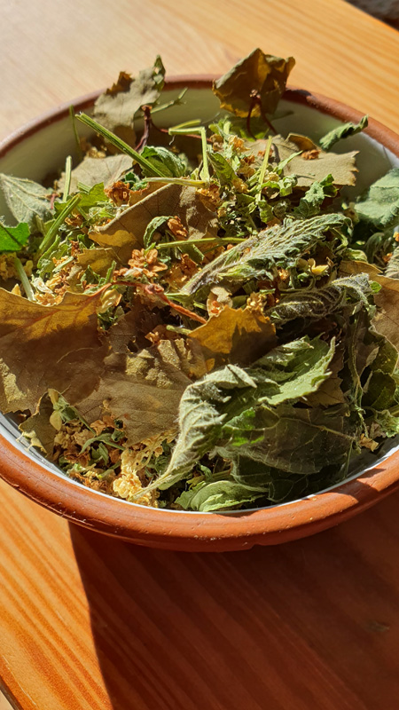 herbatka ziołowa na popraw,e kondycji skóry