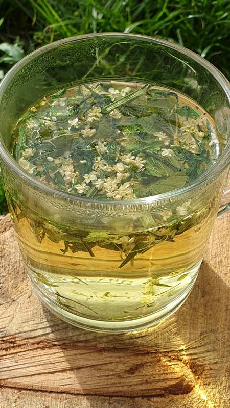 herbatka na pobudzenie limfy