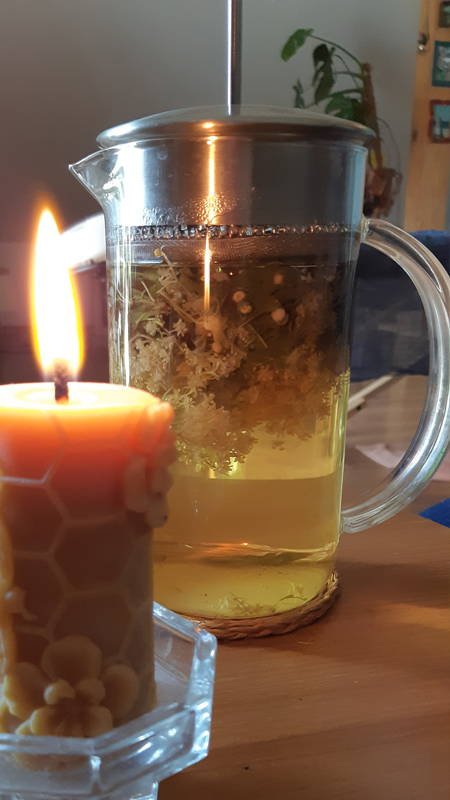 herbatka z Czeremchy i Czarnego bzu w dzbanku